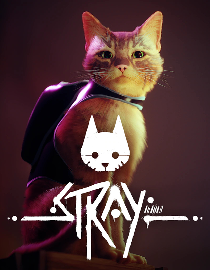 Stray PC (Steam Account)